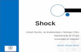 Unidad Docente de Anestesiología y Patología Crítica …biocritic.es/wp-content/uploads/2019/10/26-a-tema-SHOCK... · 2019-10-31 · 1.2. Shock y Fracaso multiorgánico Por tanto,