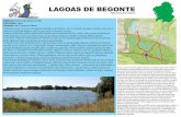 ruta lagoas de Begonte - Adela Leiro lagoas de Begonte.pdf · Duración: de 2 horas en diante Coñecidas tamén cos nomes de lagoas de Riocaldo e do Pedroso. Son un conxunto de lagoas