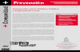 Prevención - CESC UChile• Boletín Nº 5, mayo de 2006. Proyecto de Fortalecimiento de Programas de la Sociedad Civil destinados a la Prevención Comunitaria del Delito Publicación