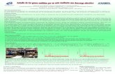 Realmente sirven los catalizadores de los autos. Longitud de …acmor.org.mx/cuamweb/reportescongreso/2017/cartel/Estudio... · 2017-10-09 · 3-Colocamos el gas del globo en la cámara
