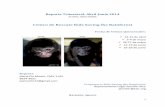 Centro de Rescate Kids Saving the Rainforest · Se liberaron dos monos tití que llegaron electrocutados y uno con trauma desconocido. Se criaron y liberaron dos ardillas que llegaron