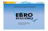 Gestión del riesgo de inundación · 2020-02-19 · fase1 evaluaciÓn preliminar del riesgo de inundaciÓn (epri) obtenciÓn de arpsi fase2 mapas de peligrosidad y riesgo (mapri)
