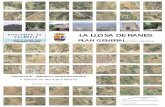 LA LLOSA DE RANES · 2011-11-16 · Llosa de Ranes entre los municipios abastecidos por el sondeo Costera-1. distribución localizados en el municipio de Llosa de Ranes. junto al