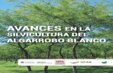 AVANCES EN LA SILVICULTURA DEL - Argentina.gob.arforestoindustria.magyp.gob.ar/archivos/...avances-en-la-silvicultura.pdf · AVANCES EN LA SILVICULTURA DEL ALGARROBO BLANCO Documento