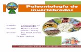 Paleontología de invertebrados€¦ · Evitar elementos que puedan resultar factores de distracción durante el estudio ( se puede estudiar con música de fondo que no obligue a