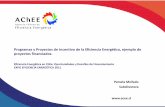 Programas y Proyectos de Incentivo de la Eficiencia ...old.acee.cl/576/articles-62066_recurso_6.pdf · • Contribuir a la creación de un mercado de EE en Chile, a través de la