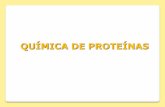 QUÍMICA DE PROTEÍNASdepa.fquim.unam.mx/amyd/archivero/17-0-Proteinas-Introduccion_27415.pdf · aminoácidos, a través del enlace peptídico. Las diferentes proteínas que se encuentran