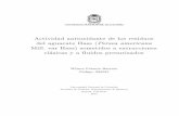 Actividad antioxidante de los residuos del aguacate Hass (Persea …bdigital.unal.edu.co/49408/1/Tesis Maestria Wilson... · 2015-06-11 · Actividad antioxidante de los residuos