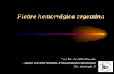 Fiebre hemorrágica argentina · 2019-05-27 · En 1943 comienzan a registrarse en el Htal. “Julio de Vedia” de 9 de Julio casos de una extraña gripe con muy alta fiebre asociada