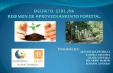 DECRETO 1791 /96 REGIMEN DE APROVECHAMIENTO …creosltda.com/creos2/images/PDF/forestal.pdfAprovechamiento forestal único: Se realiza por única vez a raíz de la implementación