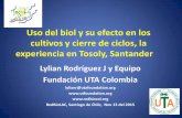Uso del biol y su efecto en los cultivos y cierre de …...Uso del biol y su efecto en los cultivos y cierre de ciclos, la experiencia en Tosoly, Santander Lylian Rodríguez J y Equipo