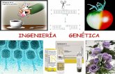 INGENIERÍA GENÉTICA - Blog de la clase · Cromosomas artificiales de levadura (YAC´s) Se pueden clonar hasta 1,000,000 nucleótidos. ... pantalla de fosforimager 1. Aislamiento