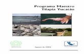 Programa Maestro Tilapia Yucatán · PDF file 6 Producción de la acuacultura en toneladas durante 2003, por principales especies 19 7 Producción nacional anual de tilapia por regiones,