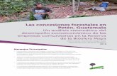 Las concesiones forestales en Petén, Guatemalala Biósfera Maya (RBM) en Petén, Guatemala1. El estudio fue liderado por Bioversity International y llevado a cabo entre 2014 y 2018,