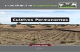 Cultivos Permanentes - Fundación Global Nature...severos de la agricultura en el medio ambiente como la erosión, la nitrificación, la contaminación de las masas de agua, el uso
