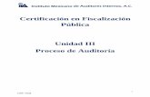 Certificación en Fiscalización Pública Unidad III Proceso ... · Unidad III Proceso de Auditoría . 2 CFP / UIII. ... 3 CFP / UIII. III. Proceso de Auditoría 5 1. Norma Profesional