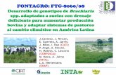 FONTAGRO: FTG-8060/08• Mejoramiento genético de Brachiaria ... plantas 2.1 Cuantificación de diferencias en la tolerancia a la inundación en Brachiaria spp. bajo un suelo ácido