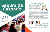 SEGURO DE CESANTÍAseguro de cesantÍa. pÓliza. title: folleto6_seguro_cesantia_final_descargable created date: 9/14/2018 11:21:45 am ...