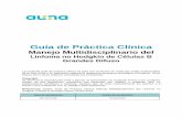 Guía de Práctica Clínica · Se realizó una búsqueda utilizando los términos “Linfoma No Hodgkin” OR “Guías de Práctica Clínica” OR “Linfoma de Células B Grandes