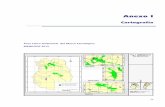 Informe Comisión Físico Ambiental-Anexos · • A nivel Gran Mendoza: 2009 hab/Km2 (promedio Capital, Godoy Cruz y Guaymallén, con mayor superficie urbana) • A nivel de campo