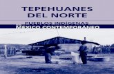 Tepehuanes del Norte - Comisión Nacional para el Desarrollo de … · 2011-07-04 · en el extremo sur del estado de Chihuahua. Los ódami también comparten aspectos de su historia