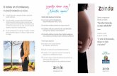 Si bebes en el embarazo, Laguntza behar duzu TU BEBÉ TAMBIÉN … · 2019-12-19 · Lehenengo hiruhilekoa Alkoholak malformazioak sor ditzake eta oztopatu egiten du garuneko zelulen