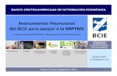 Instrumentos Financieros BCIE para apoyar a la MIPYME · 2012-09-18 · Retos: •Contabilizar el número de MIPYMES y el número de instituciones financieras de apoyo al sector en