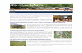 Itinerario guiado: Resbaladero de Lunada y Valle del …fnyh.org/wp-content/uploads/2014/11/boletin-life-miera-6.pdfespecies de insectos con poblaciones bajas y fragmentadas a nivel