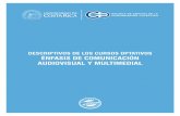 DESCRIPTIVOS DE LOS CURSOS OPTATIVOS ÉNFASIS DE …eccc.ucr.ac.cr/wp-content/uploads/2011/01/2018-02-24... · 2018-03-15 · DESCRIPTIVOS DEL ÉNFASIS DE C.AM. - OPTATIVOS - 4 CONTENIDOS