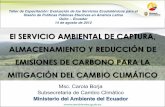 El SERVICIO AMBIENTAL DE CAPTURA, ALMACENAMIENTO Y REDUCCIÓN DE EMISIONES DE … · Subsecretaria de Cambio Climático Ministerio del Ambiente del Ecuador El SERVICIO AMBIENTAL DE