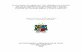 EVALUACIÓN DE COSTO-BENEFICIO, PARA DETERMINAR LA ...repository.udistrital.edu.co/bitstream/11349/22352/3/CortesGomezY… · diego alejandro mejÍa montaÑez yamith aaron cortes