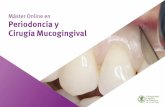 Máster Online en Periodoncia y Cirugía Mucogingival · Enfermedades periodontales y su relación con las enfermedades sistémicas. ... Principios de la terapia antibiótica. Características