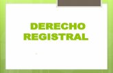 DERECHO REGISTRAL - sac656cb7e525da58.jimcontent.com€¦ · Inmobiliario Registral o simplemente como Derecho Inmobiliario. Sin embargo la denominación de Derecho Registral, responde