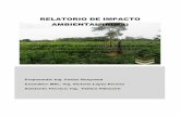 ESTUDIO DE IMPACTO AMBIENTAL PRELIMINARarchivo.seam.gov.py/sites/default/files/users/control/... · 2017-05-02 · Explotación de Yacimiento de suelo, Distrito de Ayolas, Misiones