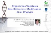 Organismos Vegetales Genéticamente Modificados en el Uruguay · 2019-02-21 · Genéticamente Modificados en el Uruguay. Don José Gervasio Artigas (1764 -1850) "Nada podemos esperar