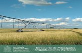 Directorio de Principales Organizaciones Agrícolascampo.nl.gob.mx/pdf/directorios/Agricola.pdf · 2020-02-17 · Directorio de Principales Organizaciones Agrícolas. Asociación