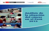 Análisis de la situación del cáncer en el Perú · ANÁLISIS DE LA SITUACIÓN DEL CÁNCER EN EL PERÚ, 2013 ... departamentos de Piura, Cajamarca, Loreto, Cusco, Ayacucho y La
