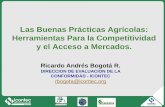 Las Buenas Prácticas Agrícolas: Herramientas Para la ...banana-networks.org/.../013-Ricardo-Bogota-Buenas-Practicas-Agrico… · Buenas Practicas Agrícolas “Comprenden las prácticas