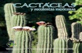 Cactáceas y Suculentas Mexicanas...Mexico. We estimated potential distribution of both species using the interpolation method of not sampled areas of Kriging. Principal components