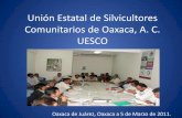 Unión Estatal de Silvicultores Comunitarios de Oaxaca, A ......• Producción de planta y operación de los viveros tecnificados a partir de convenios con las ARS. • Atención