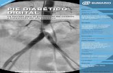 PIE DIABÉTICO DIGITALpiediabeticoceped.com/revista_octubre_10.pdf · 2020-01-27 · La Revista para el profesional del cuidado y tratamiento del pie diabético Num.10 Octubre 2010
