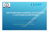 MICROBIOMA HUMANO INTESTINAL Y LACTANCIA MATERNA · El microbioma intestinal con su microbiota, • Interactúa en forma simbiótica y mutualista con el huésped humano. • Forma