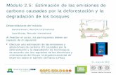 Módulo 2.5: Estimación de las emisiones de carbono causadas por la … · Cubre las emisiones y absorciones de la biosfera ... tierra de la orientación sobre las buenas prácticas