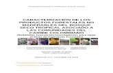 CARACTERIZACIÓN DE LOS PRODUCTOS FORESTALES NO … · 2018-12-27 · plantas útiles como productos forestales no maderable del bosque seco tropical en tres ventanas del Caribe colombiano.