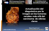 Actualización del diagnóstico por la imagen en los tumores … · 2013-11-14 · Actualización del diagnóstico por la imagen en los tumores renales: más allá del carcinoma de