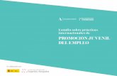 Estudio sobre prácticas internacionales de PROMOCIÓN JUVENIL … · 2018-04-18 · sobre las mejores prácticas internacionales de promoción del empleo juvenil para, a través