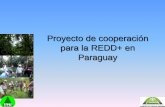 Proyecto de cooperación para la REDD+ en Paraguayd2ouvy59p0dg6k.cloudfront.net/downloads/presentacion...Producción del Mapa de Tipos de Bosque 2010 por clasificación orientada a