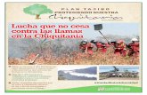 Bolivia, septiembre de 2019 Lucha que no cesa …...que del total de los vuelos de aviones y helicópteros, 1.018 fueron operaciones aéreas y ocho helitransportadas. Ade - más, desde