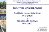 CULTIVO MAIZ BLANCO Análisis de rentabilidad P-V 2006 y ...€¦ · 5. Superficie sembrada y rendimientos de maíz. 6. Participación de FIRA en la producción de maíz. 7. Resultados
