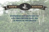 EXPERIENCIAS EXITOSAS DE LOS PROYECTOS CAFÉ EN LA …infocafes.com/portal/wp-content/uploads/2016/06/08_EXPERIENCIA… · • Mejorar la cosecha y post cosecha de café, con asistencia